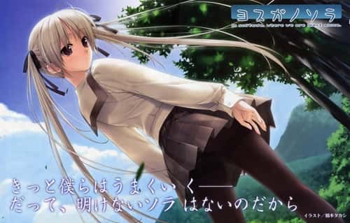 视觉数据3